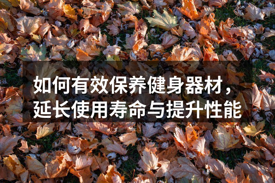 定期清洁器材，保持最佳状态