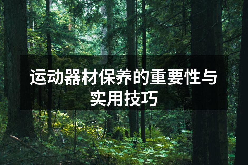 定期保养运动器材,延长使用寿命