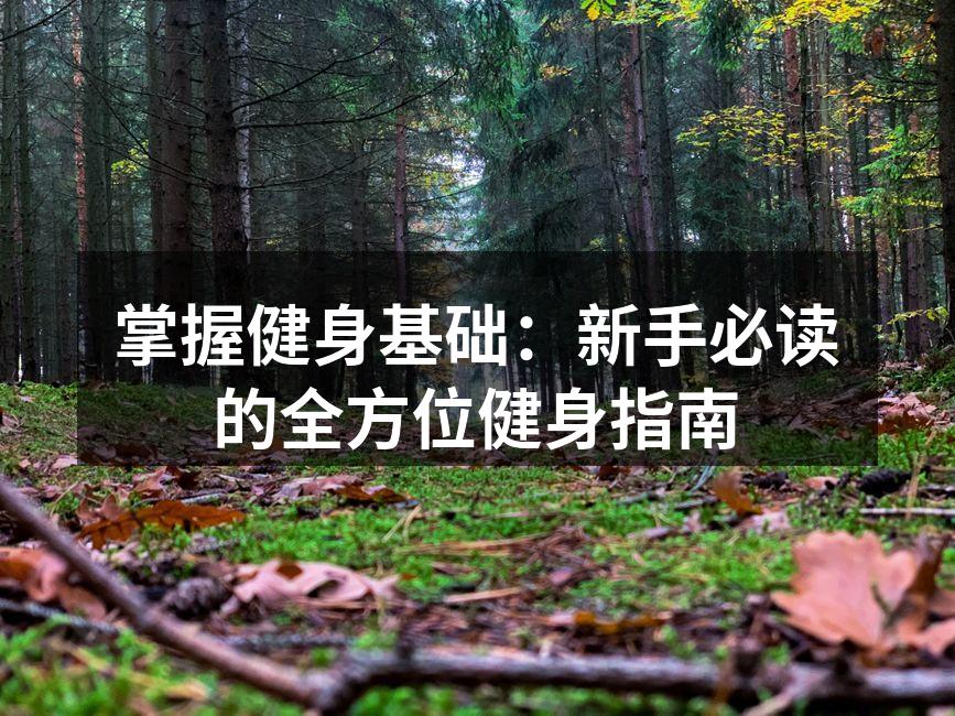 健身房内的多种运动器材